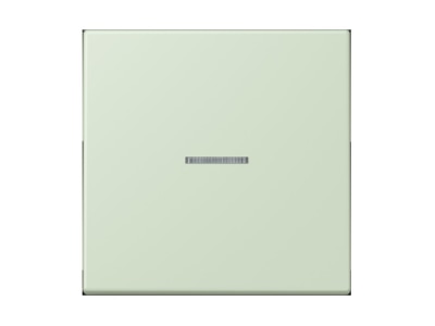 Product image Jung LC 990 KO5218 Cover plate for switch push button
