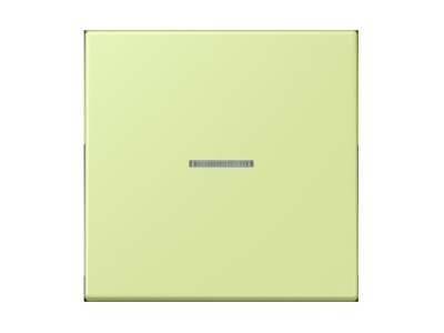 Product image Jung LC 990 KO5222 Cover plate for switch push button
