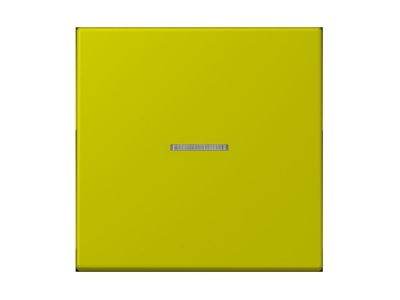 Product image Jung LC 990 KO5249 Cover plate for switch push button green
