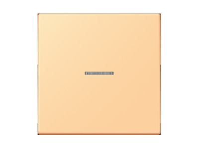 Product image Jung LC 990 KO5258 Cover plate for switch push button
