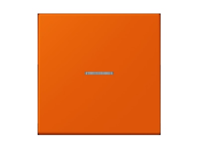 Product image Jung LC 990 KO5260 Cover plate for switch push button
