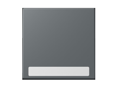 Product image Jung LC 990 NA202 Cover plate for switch push button
