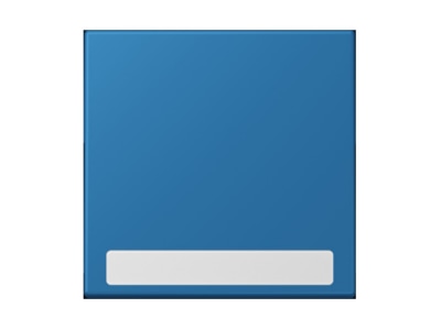 Product image Jung LC 990 NA211 Cover plate for switch push button
