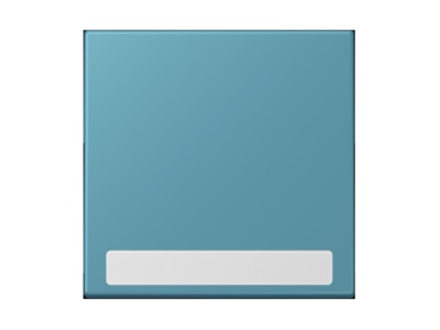 Product image Jung LC 990 NA212 Cover plate for switch push button
