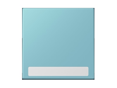 Product image Jung LC 990 NA213 Cover plate for switch push button
