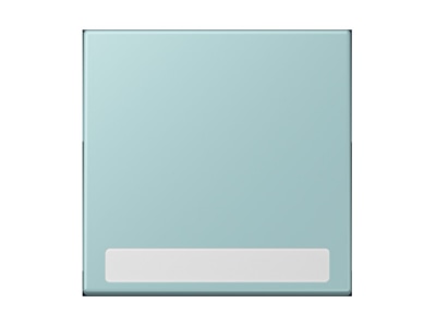 Product image Jung LC 990 NA214 Cover plate for switch push button

