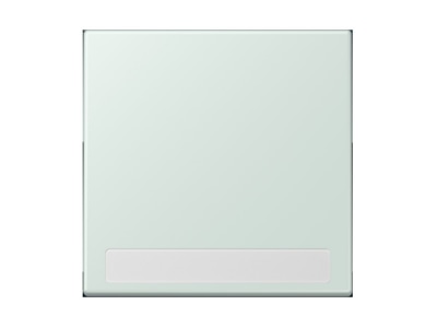 Product image Jung LC 990 NA215 Cover plate for switch push button

