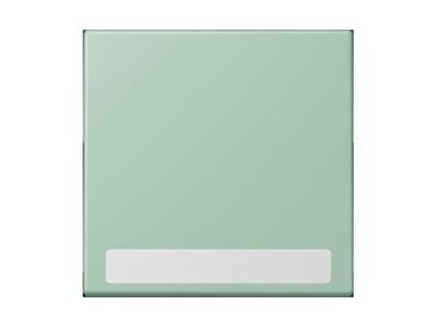 Product image Jung LC 990 NA217 Cover plate for switch push button

