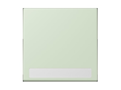 Product image Jung LC 990 NA218 Cover plate for switch push button
