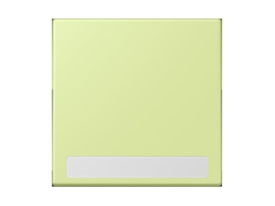 Product image Jung LC 990 NA222 Cover plate for switch push button
