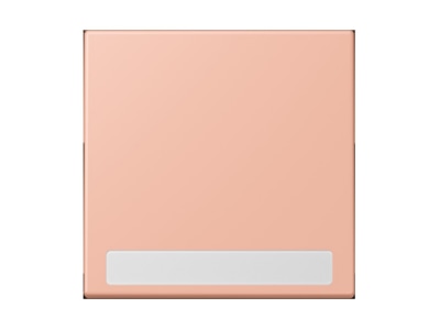 Produktbild Jung LC 990 NA231 Wippe 1fach m  Schriftfeld rose clair  32102 