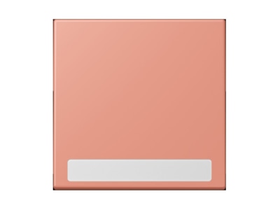 Product image Jung LC 990 NA233 Cover plate for switch push button
