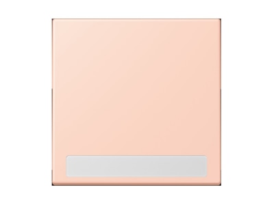 Product image Jung LC 990 NA234 Cover plate for switch push button
