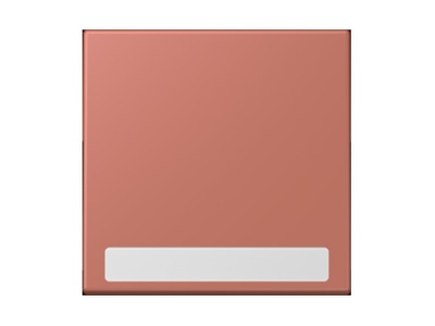 Product image Jung LC 990 NA236 Cover plate for switch push button
