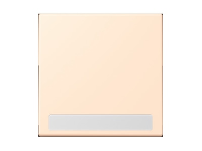 Product image Jung LC 990 NA238 Cover plate for switch push button
