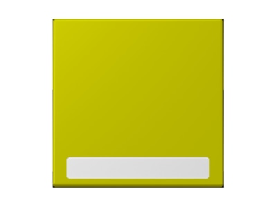 Product image Jung LC 990 NA249 Cover plate for switch push button green
