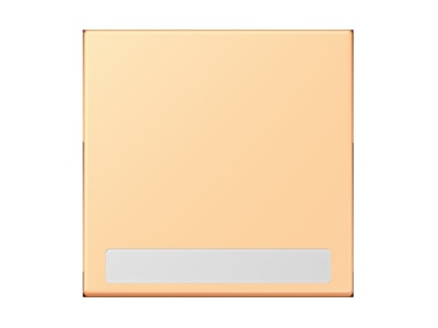 Product image Jung LC 990 NA258 Cover plate for switch push button

