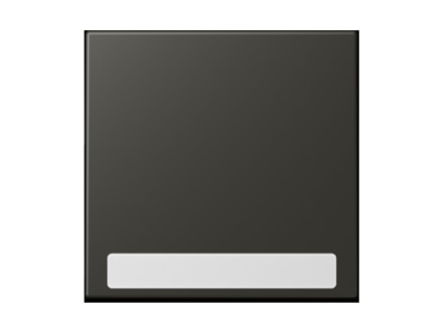 Product image Jung LC 990 NA259 Cover plate for switch push button
