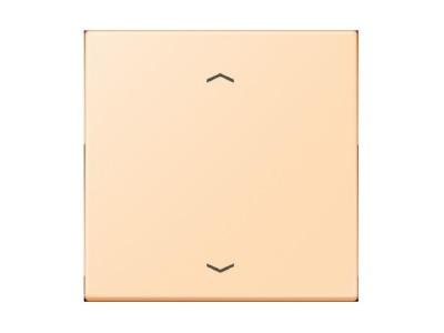 Product image Jung LC 990 P223 Cover plate for venetian blind
