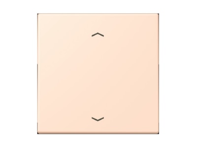 Product image Jung LC 990 P228 Cover plate for venetian blind
