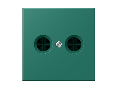 Product image Jung LC 990 TV216 Plate
