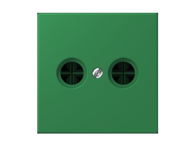 Product image Jung LC 990 TV219 Plate
