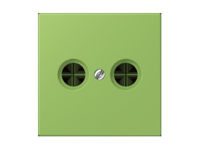 Product image Jung LC 990 TV220 Plate
