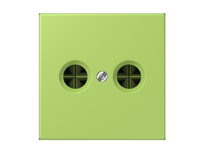 Product image Jung LC 990 TV221 Plate
