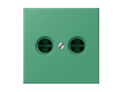 Product image Jung LC 990 TV250 Plate
