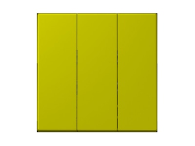 Product image Jung LC 993 BF249 Cover plate for switch push button green
