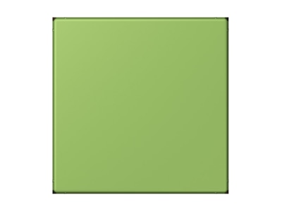 Produktbild Jung LC 994 B220 Blind Abdeckung  gerastet  vert 31