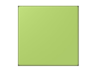 Produktbild Jung LC 994 B221 Blind Abdeckung  gerastet  vert clair