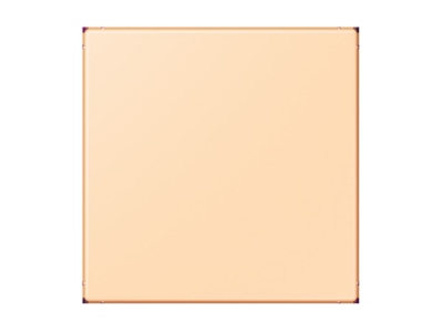 Produktbild Jung LC 994 B223 Blind Abdeckung  gerastet  ocre