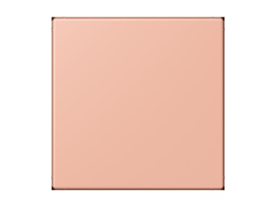 Produktbild Jung LC 994 B231 Blind Abdeckung  gerastet  rose clair