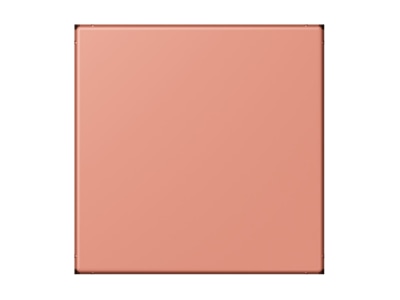Produktbild Jung LC 994 B233 Blind Abdeckung  gerastet  locre rouge moyen