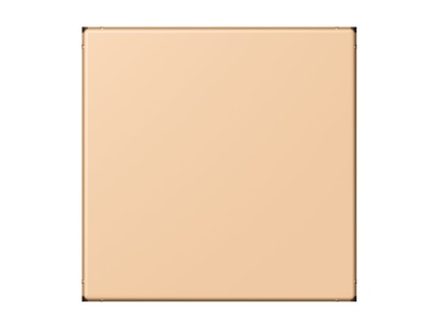 Produktbild Jung LC 994 B237 Blind Abdeckung  gerastet 