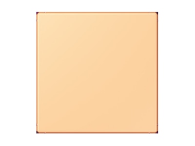 Produktbild Jung LC 994 B258 Blind Abdeckung  gerastet 