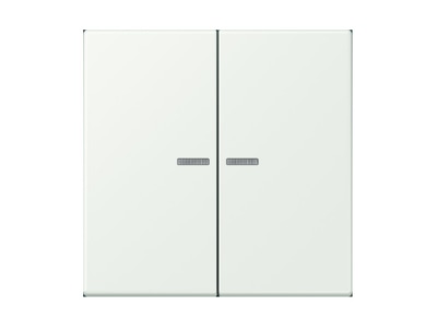 Produktbild Jung LC 995 KO5210 Wippe 2fach m  Lichtleiter