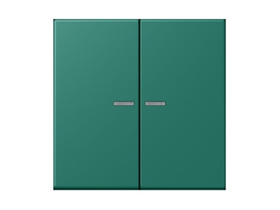 Produktbild Jung LC 995 KO5216 Wippe 2fach m  Lichtleiter vert anglais  32040 