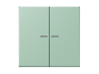 Produktbild Jung LC 995 KO5217 Wippe 2fach m  Lichtleiter