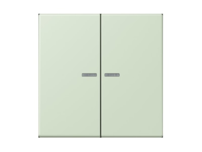 Produktbild Jung LC 995 KO5218 Wippe 2fach m  Lichtleiter