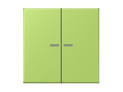 Produktbild Jung LC 995 KO5221 Wippe 2fach m  Lichtleiter vert clair  32052 