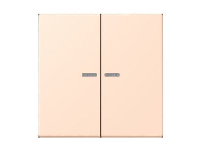 Produktbild Jung LC 995 KO5228 Wippe 2fach m  Lichtleiter rose pale  32091 