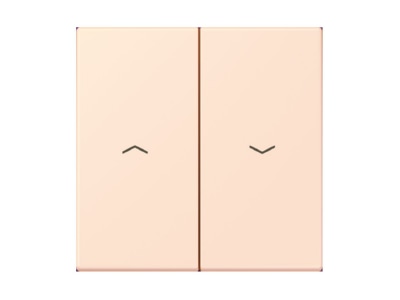 Produktbild Jung LC 995 P226 Wippe 2fach m  Pfeilsymb  orange pale  32082 