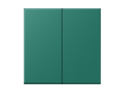 Produktbild Jung LC 995216 Wippe 2fach vert anglais  32040 