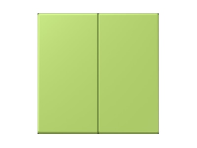 Produktbild Jung LC 995221 Wippe 2fach vert clair  32052 