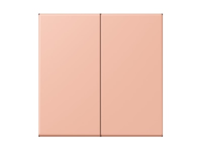 Produktbild Jung LC 995231 Wippe 2fach rose clair  32102 