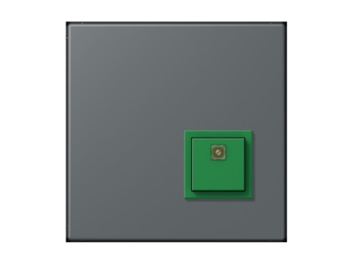 Product image Jung NRS LC 0834 AT202 Switching device for handicapped people
