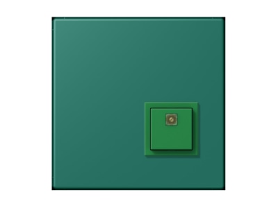 Product image Jung NRS LC 0834 AT216 Switching device for handicapped people
