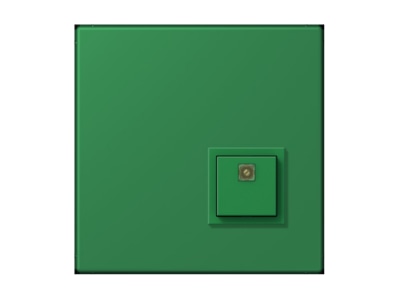 Product image Jung NRS LC 0834 AT219 Switching device for handicapped people
